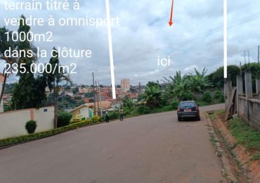 Terrain titré a vendre a Yaoundé OMNISPORT